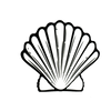 Seashell Serenity: Monochrome Scallop Shell