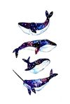Stellar Seas: Celestial Whales and Narwhal
