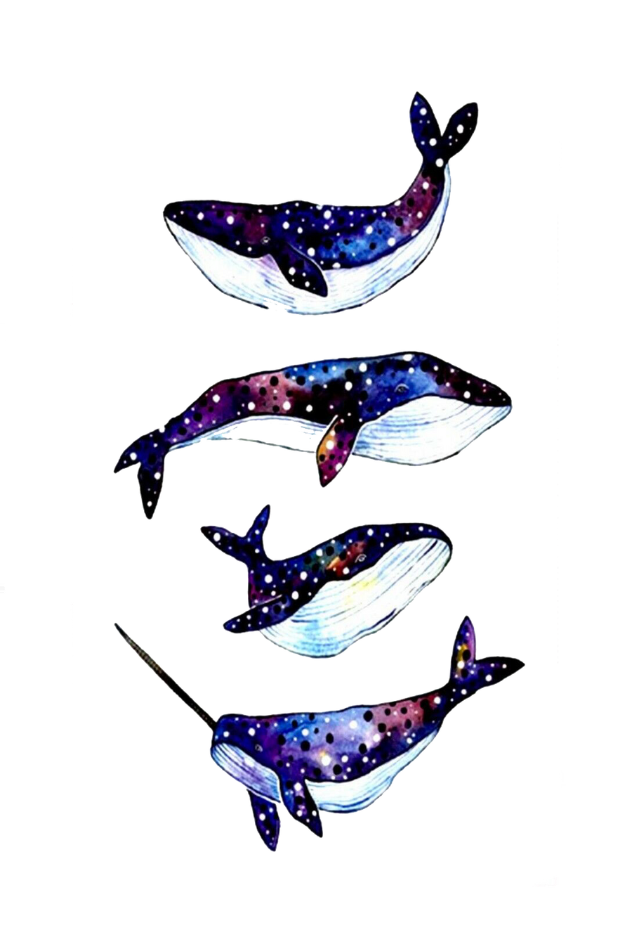 Stellar Seas: Celestial Whales and Narwhal