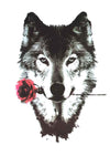 Black and white wolf with a red rose