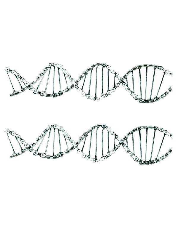 Bikechain DNA - Tatouage Ephémère - Tattoo Forest