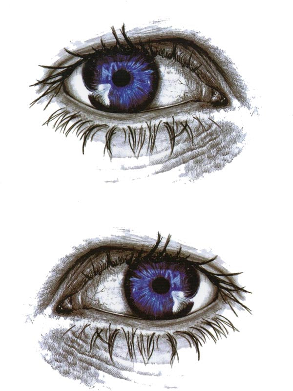 Blue Eyes - Tattoo Forest