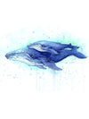 Blue Whale and its Calf - Tatouage Ephémère - Tattoo Forest