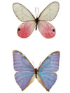 Pink and Purple Butterflies - Tatouage Ephémère - Tattoo Forest
