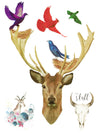 Colorful Birds, Bird Nests, Deers and Buffalo Skull - Tatouage Ephémère - Tattoo Forest