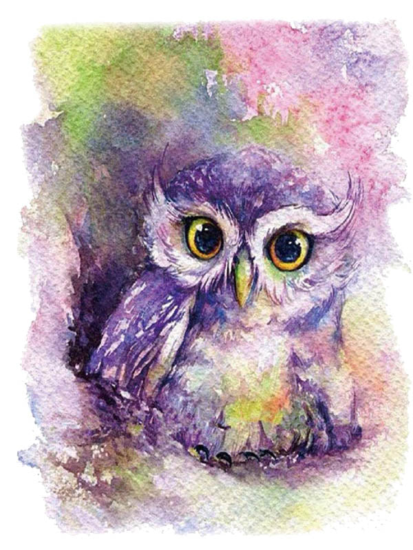 Cute Purple Owl - Tatouage Ephémère - Tattoo Forest