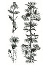 Flower Branches - Tatouage Ephémère - Tattoo Forest