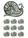 Maori Snails