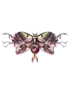 Memento Butterfly - Tattoo Forest