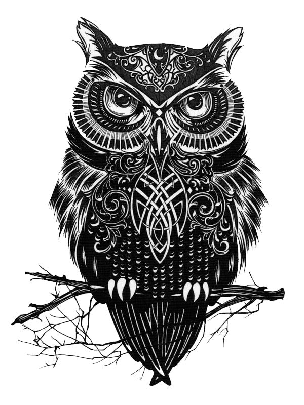 Black and White Owl - Tattoo Forest