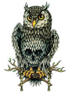 Owl Skull - Tatouage Ephémère - Tattoo Forest