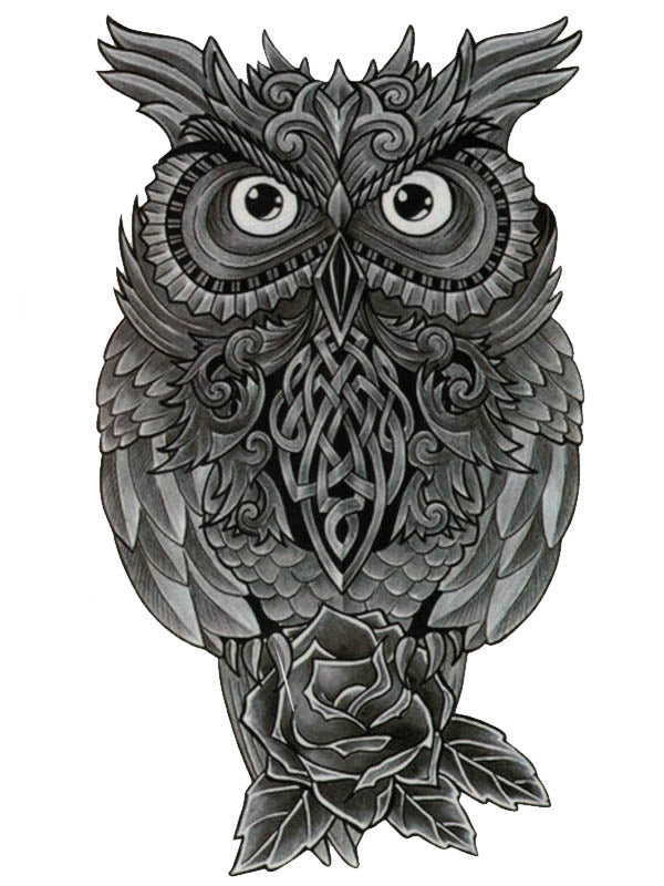 Owl and Rose - Tatouage Ephémère - Tattoo Forest