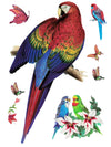 Parakeets, Parrot and Butterflies - Tatouage Ephémère - Tattoo Forest
