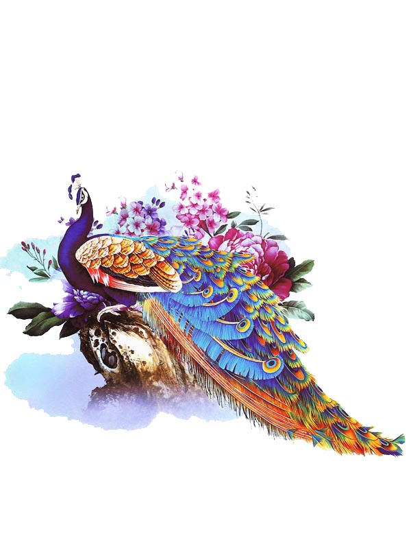 Peacock 3 - Tatouage Ephémère - Tattoo Forest