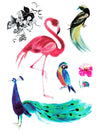 Pink Flamingo, Parrot, Peacock and Flowers