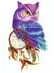 Purple Owl & Dreamcatcher