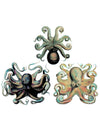 Trio of Octopuses