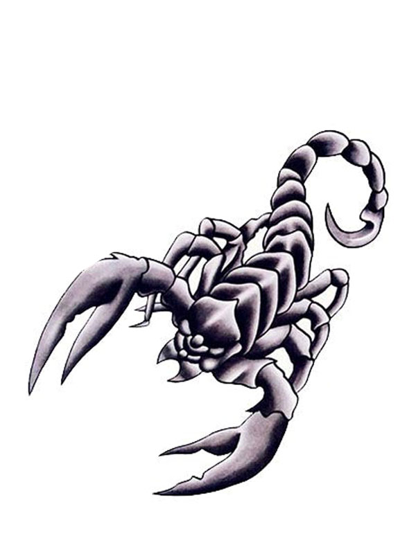 Tatouage Temporaire Scorpion