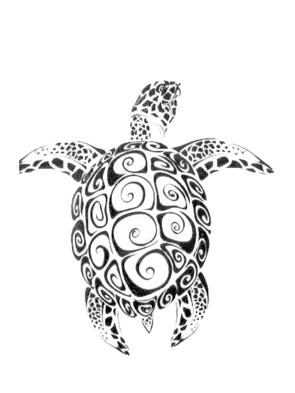 Tatouage Temporaire Tortue