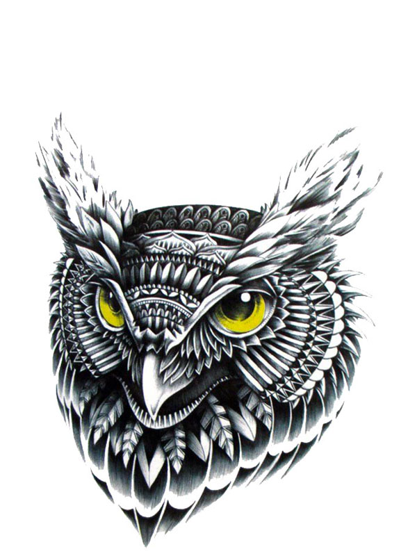 Tatouage Temporaire Hibou