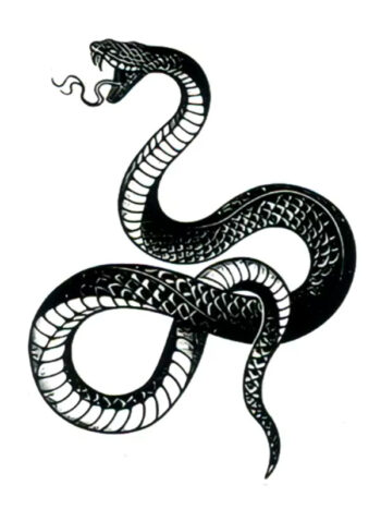 Tatouage Temporaire Serpent Prêt à Mordre