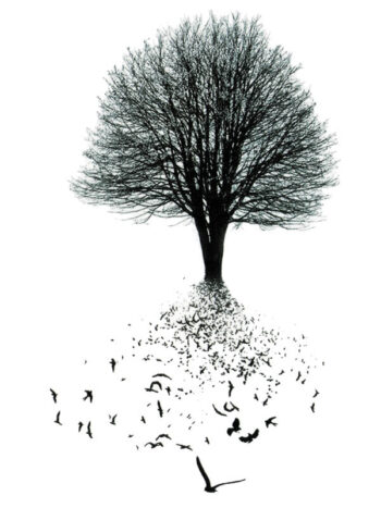 Tattoo-Forest: Tatouage Temporaire Arbre Oiseaux Liberte