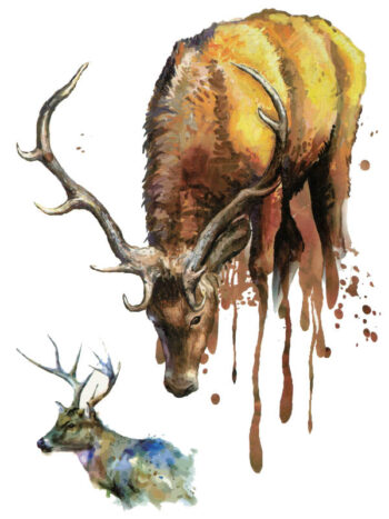 Tattoo-Forest: Tatouage Temporaire Cerf Aquarelle Nature
