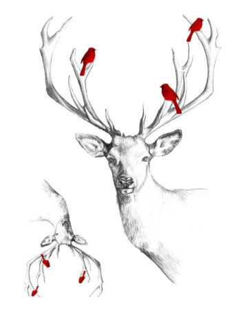 Tattoo-Forest: Tatouage Temporaire Cerf Oiseaux Cardinaux