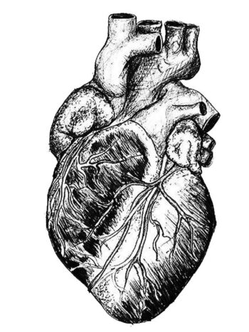 Tattoo-Forest: Tatouage Temporaire Coeur Anatomique Noir