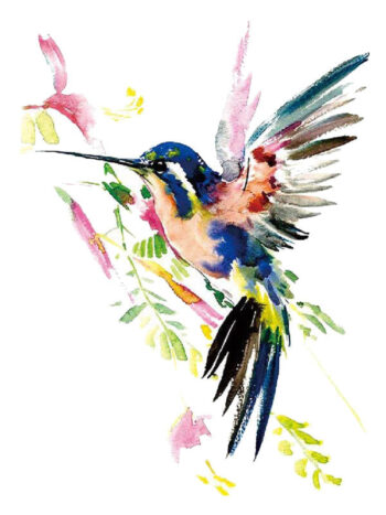 Tattoo-Forest: Tatouage Temporaire Colibri Aquarelle Fleuri