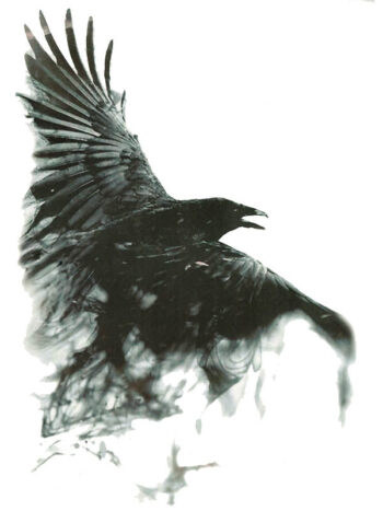 Tattoo-Forest: Tatouage Temporaire Corbeau Oiseau Noir