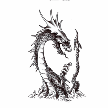 Tattoo-Forest: Tatouage Temporaire Dragon Fantastique Serpent