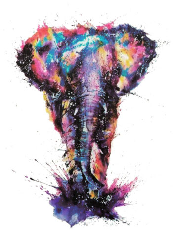 Tattoo-Forest: Tatouage Temporaire Elephant Aquarelle Couleur