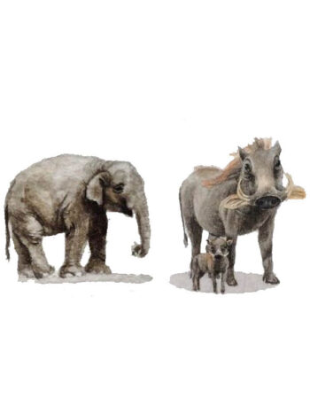 Tattoo-Forest: Tatouage Temporaire Elephant Phacochere Animaux Savane