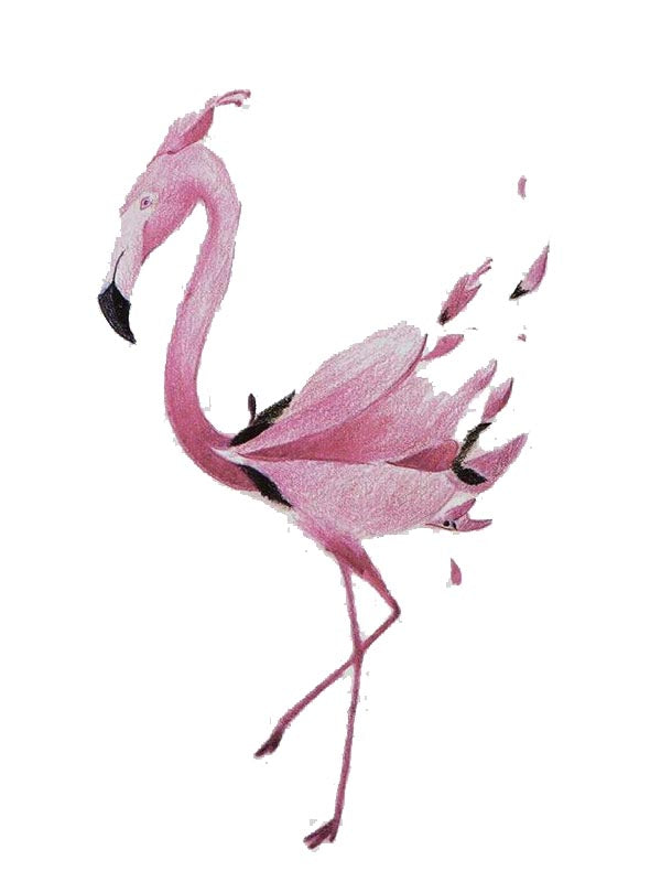 Tatouage Temporaire Flamant Rose