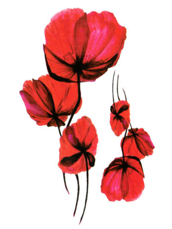 Tattoo-Forest: Tatouage Temporaire Fleur Coquelicot Rouge