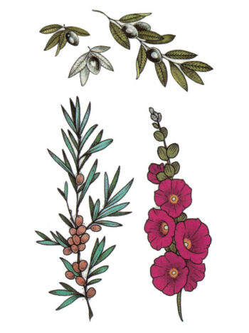 Tattoo-Forest: Tatouage Temporaire Fleur Olive Plante