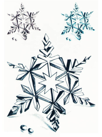 Tattoo-Forest: Tatouage Temporaire Flocon Neige Hiver
