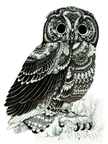 Tattoo-Forest: Tatouage Temporaire Hibou Noir Et Blanc