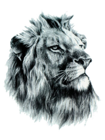 Tattoo-Forest: Tatouage Temporaire Lion Roi Animaux