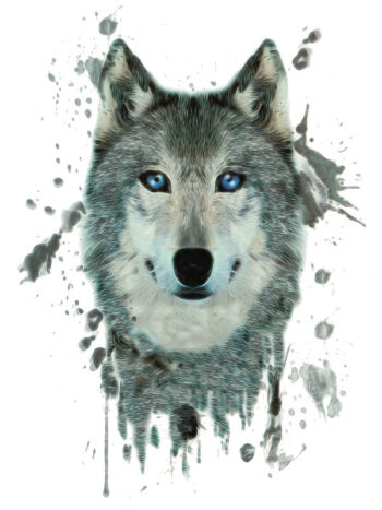 Tattoo-Forest: Tatouage Temporaire Loup Bleu Aquarelle
