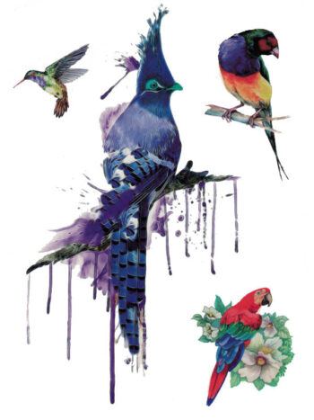 Tattoo-Forest: Tatouage Temporaire Oiseau Couleur Exotique