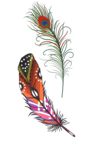 Tattoo-Forest: Tatouage Temporaire Plume Paon Coloré