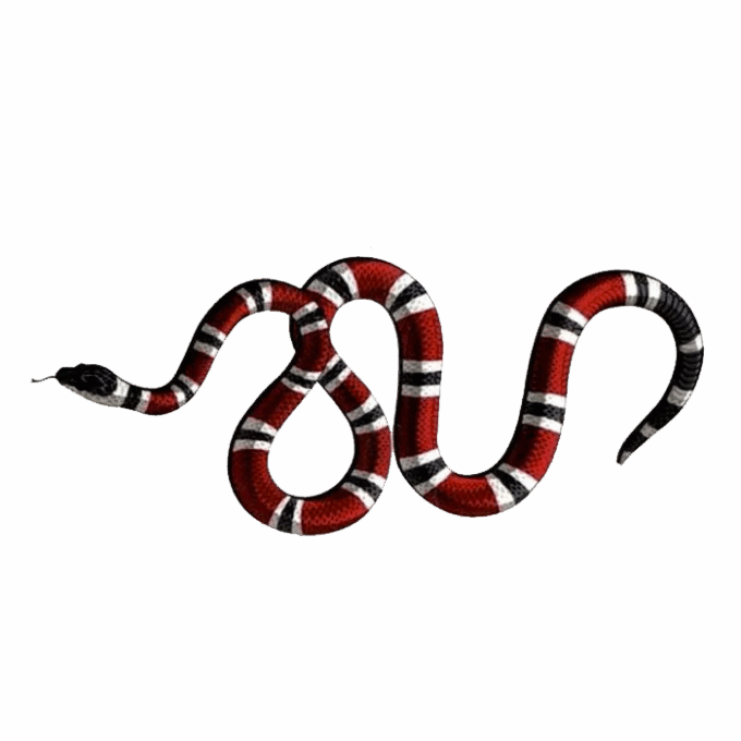 Tattoo-Forest: Tatouage Temporaire Serpent Rouge Noir