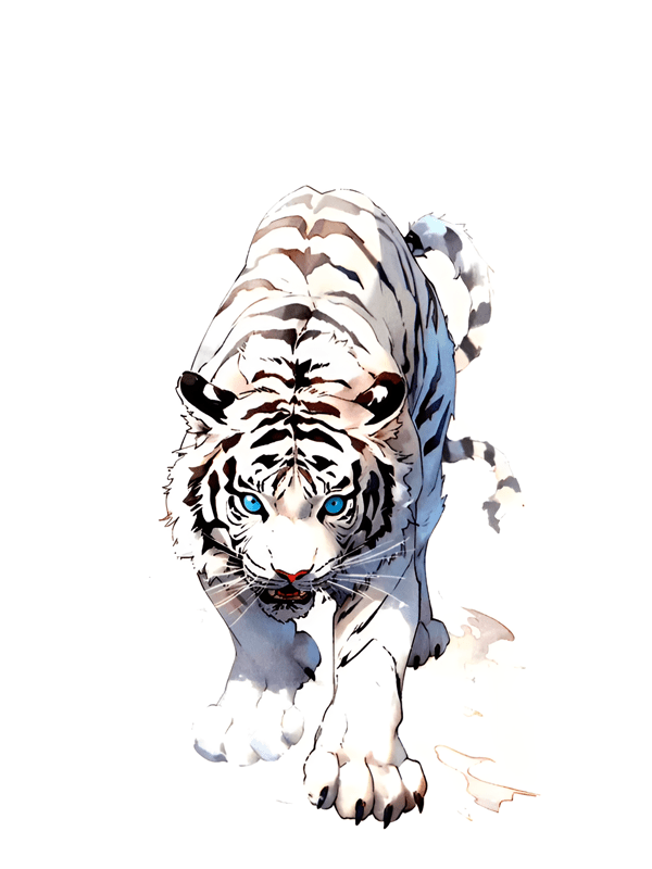 Tatouage Temporaire Tigre