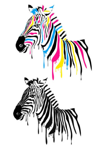 Tattoo-Forest: Tatouage Temporaire Zebra Coloré Animaux