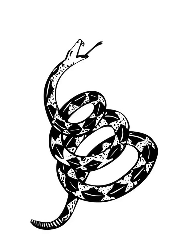 Tatouage Temporaire Boa